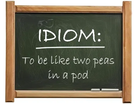 english idiom to be like two peas in a pod