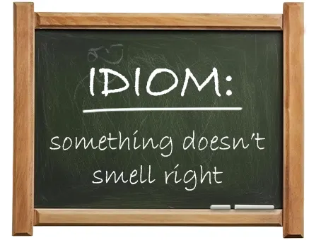 english idiom something doesn’t smell right