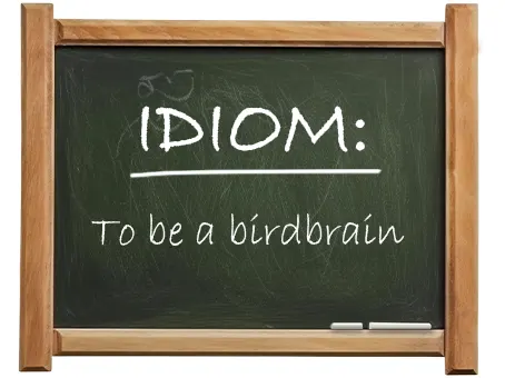 english idiom to be a birdbrain