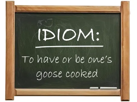 english idiom to have or be one’s goose cooked