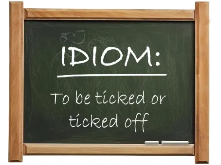 english idiom to be ticked or ticked off
